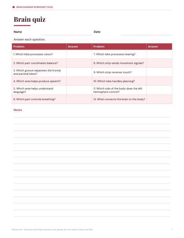 Preview of Printable Brain Diagram Quiz