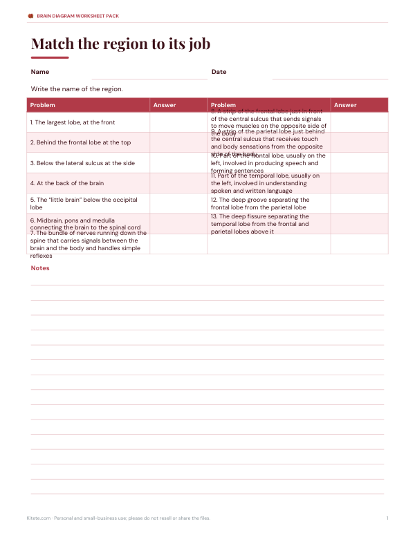 Preview of Printable Brain Function Matching Sheet